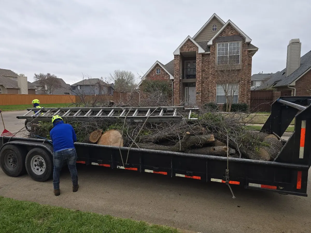 Expert Tree Fertilization with proper safety equipment in Kalamazoo